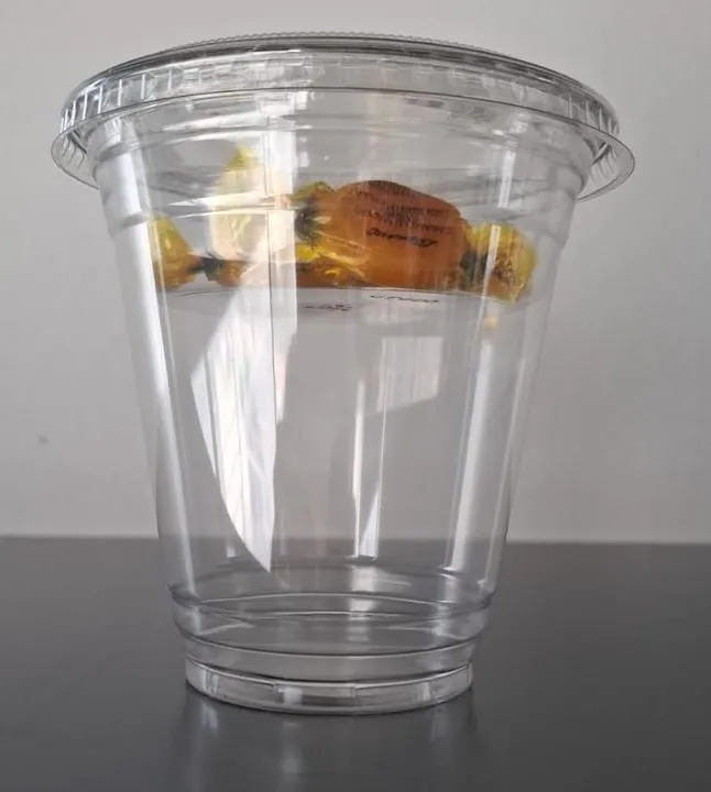 WhatsApp Image 2026-04-27 at 12.51.31 PM.webp