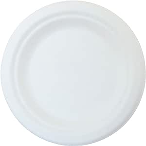 Plato Biodegradable Redondo 9" Liso (de fibra de papel) c/50
