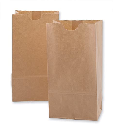 Bolsa de Papel Kraft #6 c/100